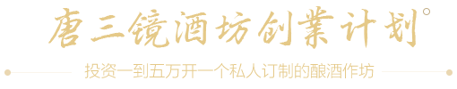 唐三镜酒坊创业计划