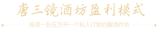 唐三镜酒坊盈利模式