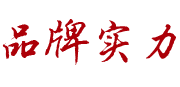 品牌实力